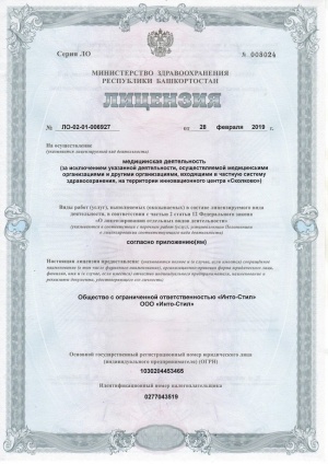 Лицензия 1